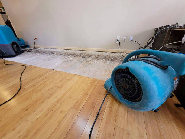Professional Burst Pipe Water Damage technician working in Utica, OH
